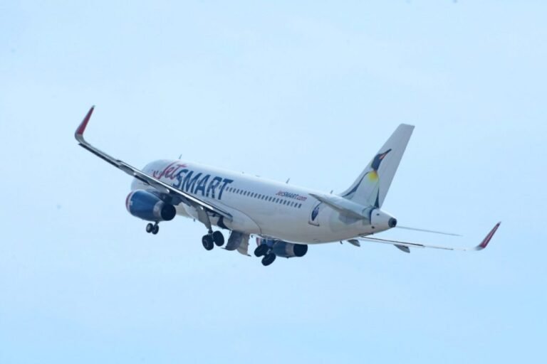 jetsmart-pinguino