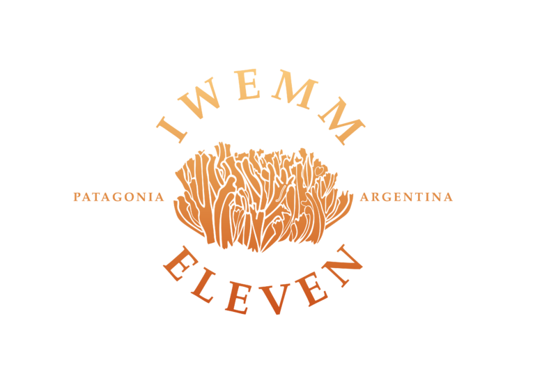 Logo-IWEMM-11