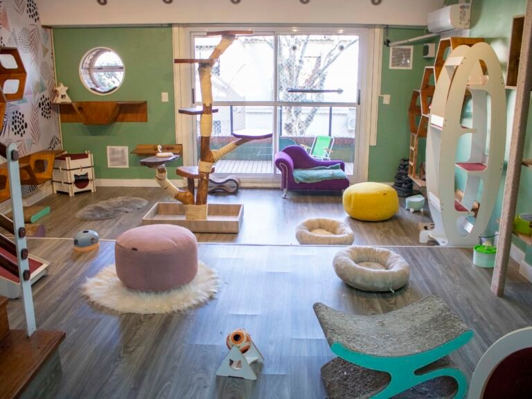 HOTEL MISHMOSOS5