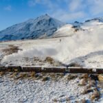 La Trochita, una experiencia única en la Patagonia 🚂Vagones de madera originales, sonidos y aro
